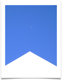 11 - ELO - Chris Beesley
